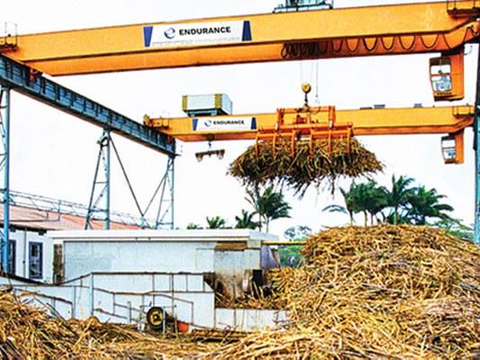 Sugar Industry Cranes